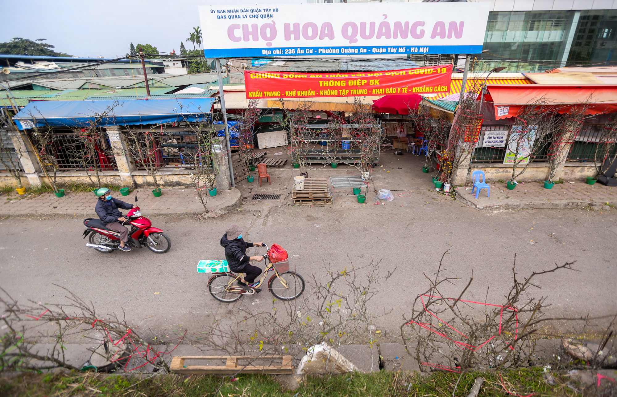 CLIP: Hoa lê rừng hét giá 10 triệu đồng, nhiều khách hàng quay đầu bỏ đi ngay - Ảnh 2.