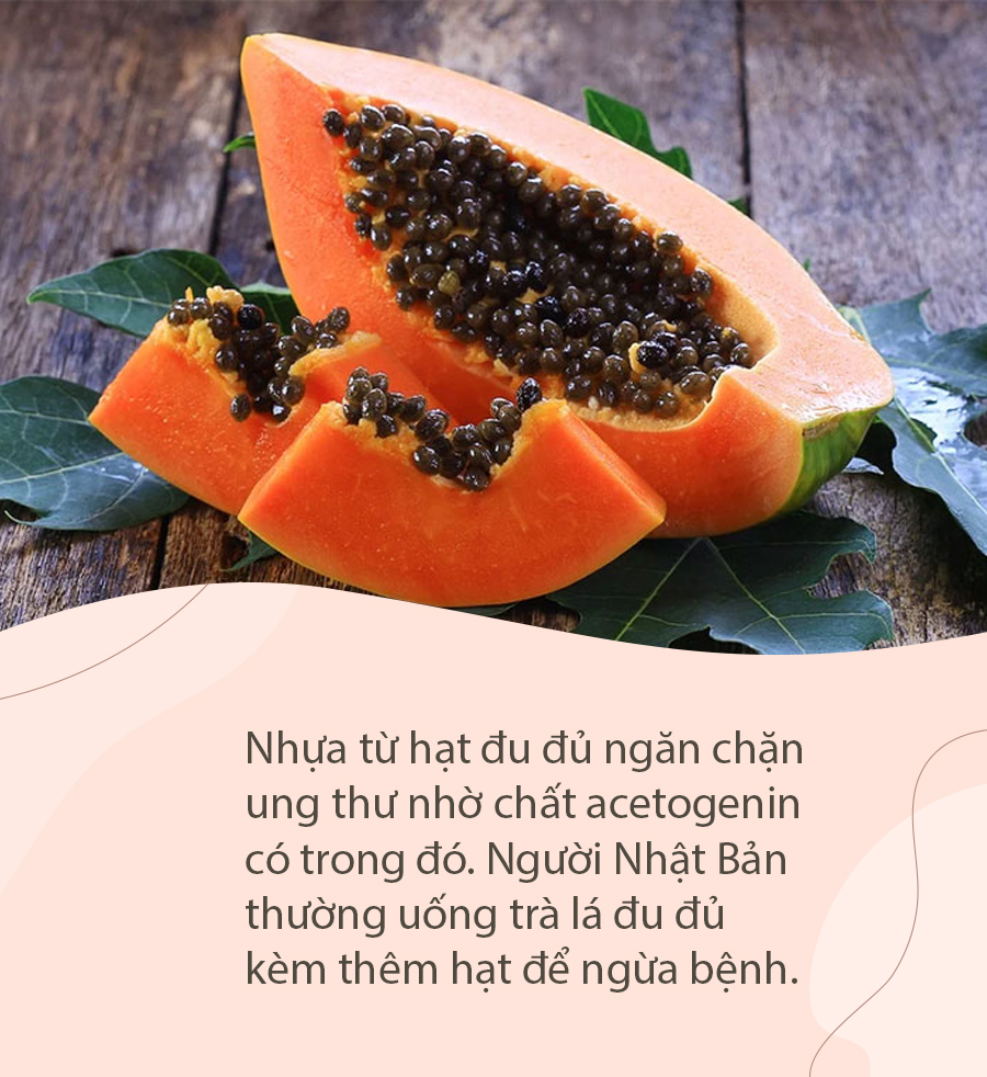 Trong đu đủ có một thứ được mệnh danh là "trân châu" bảo vệ thận, chống ung thư nhưng tiếc là ai cũng tiện tay vứt bỏ khi ăn - Ảnh 4. Trong đu đủ có một thứ được mệnh danh là "trân châu" bảo vệ thận, chống ung thư nhưng tiếc là ai cũng tiện tay vứt bỏ khi ăn - Ảnh 4.