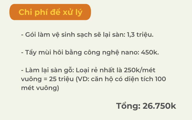 a-nhung-can-nha-do-chu-nhan-da-chuyen-di-hoac-qua-doi-de-lai-nhung-se-duoc-chinh-quyen-dia-phuong-trung-dung-de-tang-hoac-cho-thue-lam-nha-o-3-16382511294951955526288.png