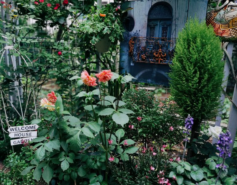 Bỏ 5 năm chăm bón, mẹ nội trợ tạo ra khu vườn 190 mét vuông quanh năm xanh mát hoa nở bốn mùa - Ảnh 12.