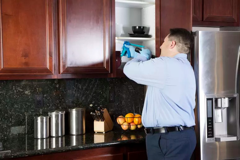 10 sai lầm biến nhà bếp của bạn thành nơi &quot;hút&quot; chuột, gián và các loài sinh vật có hại  - Ảnh 7.