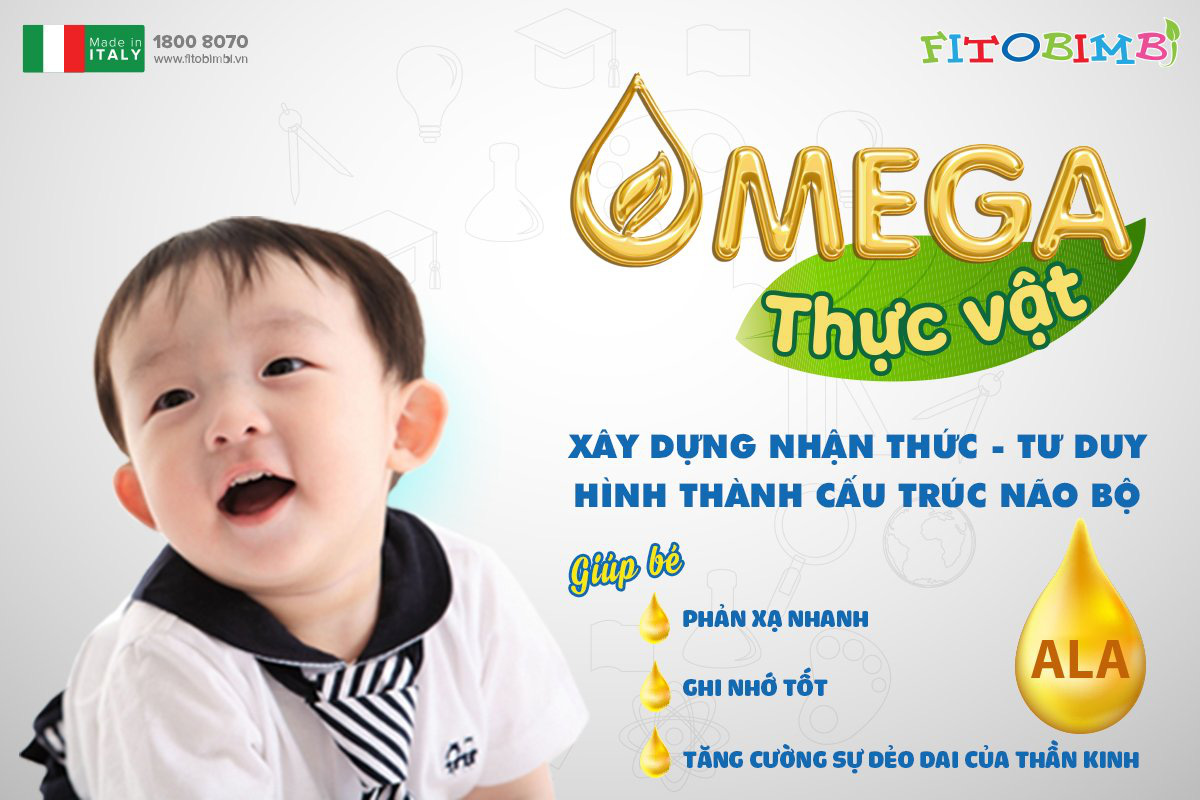 Hỗ trợ tăng cường trí não cho con, mẹ cần biết những gì về Omega thực vật và Omega động vật? - Ảnh 1.