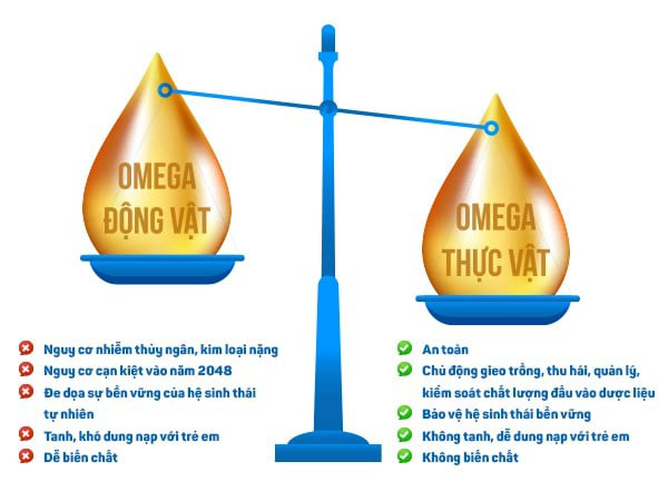 Hỗ trợ tăng cường trí não cho con, mẹ cần biết những gì về Omega thực vật và Omega động vật? - Ảnh 2.