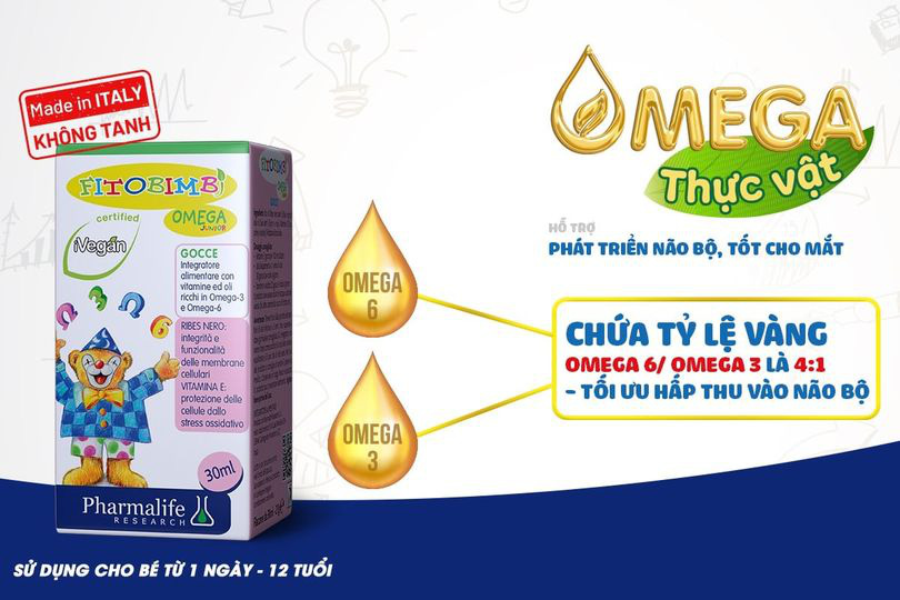 Hỗ trợ tăng cường trí não cho con, mẹ cần biết những gì về Omega thực vật và Omega động vật? - Ảnh 3.