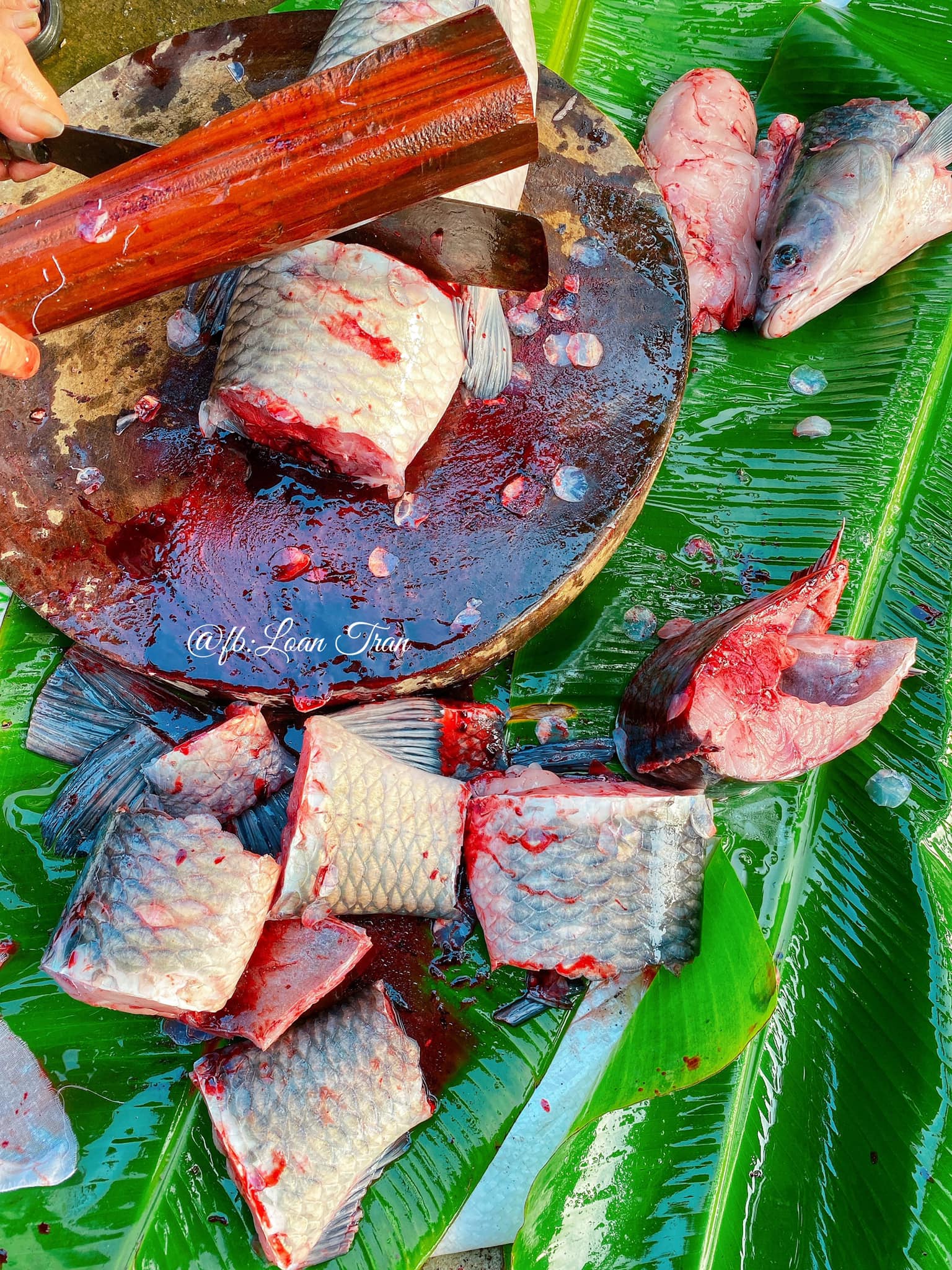 9X chỉ c&aacute;ch kho c&aacute; ngon của l&agrave;ng Vũ Đại, h&oacute;a ra b&iacute; k&iacute;p đặc biệt lại kh&ocirc;ng nằm ở gia vị c&aacute;c chị em ạ - Ảnh 4.