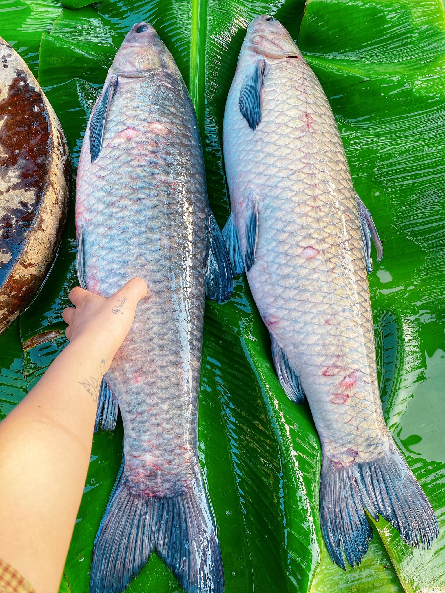 9X chỉ c&aacute;ch kho c&aacute; ngon của l&agrave;ng Vũ Đại, h&oacute;a ra b&iacute; k&iacute;p đặc biệt lại kh&ocirc;ng nằm ở gia vị c&aacute;c chị em ạ - Ảnh 3.