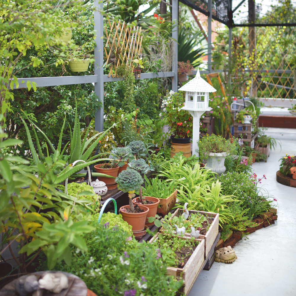 Càng ngắm càng mê khu vườn bếp trên sân thượng rộng 44 mét vuông mà loại rau củ nào cũng có - Ảnh 4.