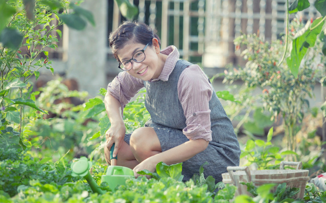 3 cách trồng rau tại nhà đơn giản, hiệu quả