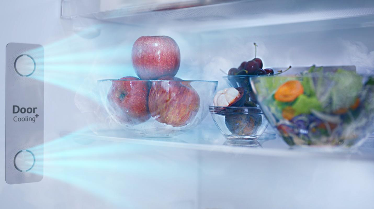 Những tính năng không nên bỏ qua khi cân nhắc mua tủ lạnh mùa cuối năm - Ảnh 1.