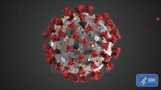 Virus SARS-CoV-2 tồn tại dai dẳng 'hàng tháng' trong cơ thể người - Ảnh 1.