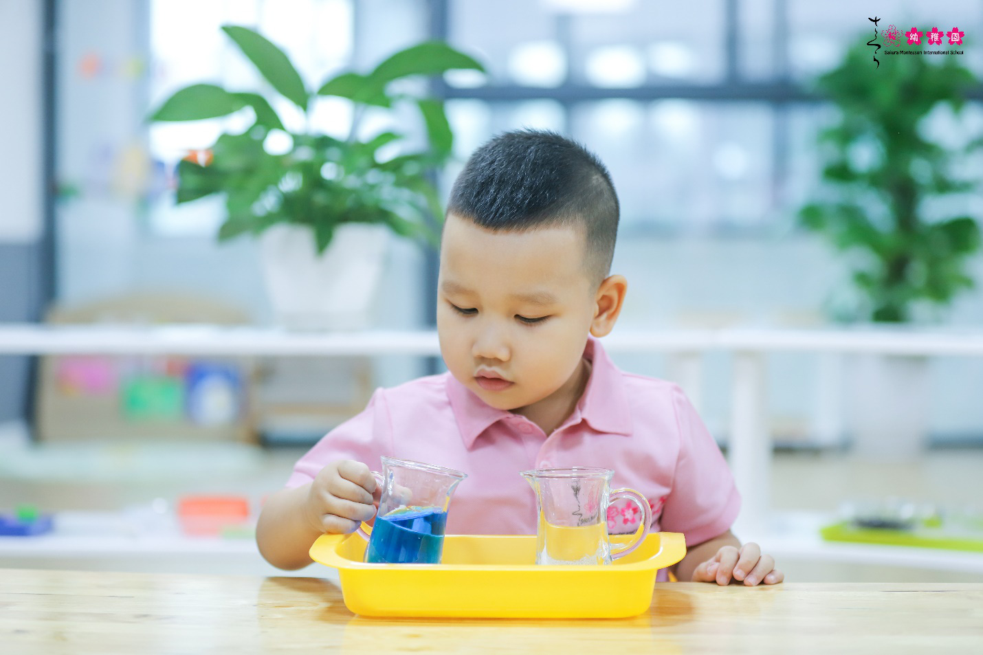 Sakura Montessori và hành trình 10 năm kiên định với phương pháp giáo dục Montessori - Ảnh 2.