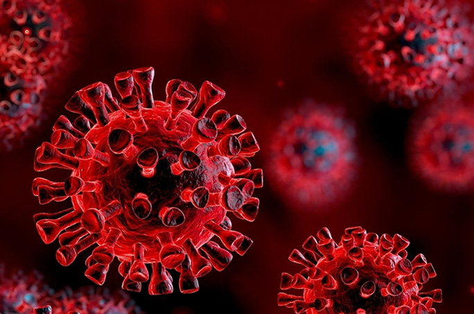 Cơ chế giúp nhiều người gần như miễn nhiễm SARS-CoV-2: Triển vọng về siêu vắc-xin - Ảnh 1.