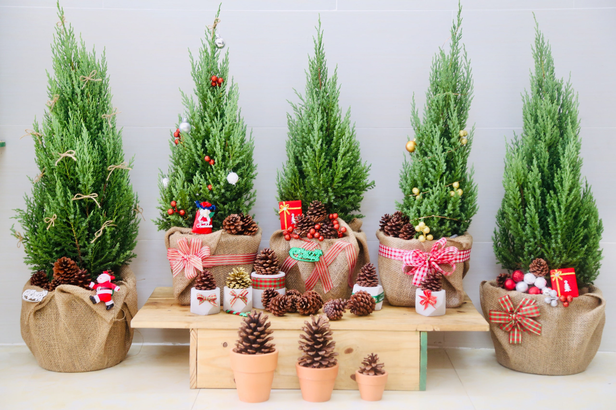 Mang cả không khí Giáng sinh vào nhà với những món đồ trang trí siêu xinh giá chỉ từ 100.000 đồng - Ảnh 2.