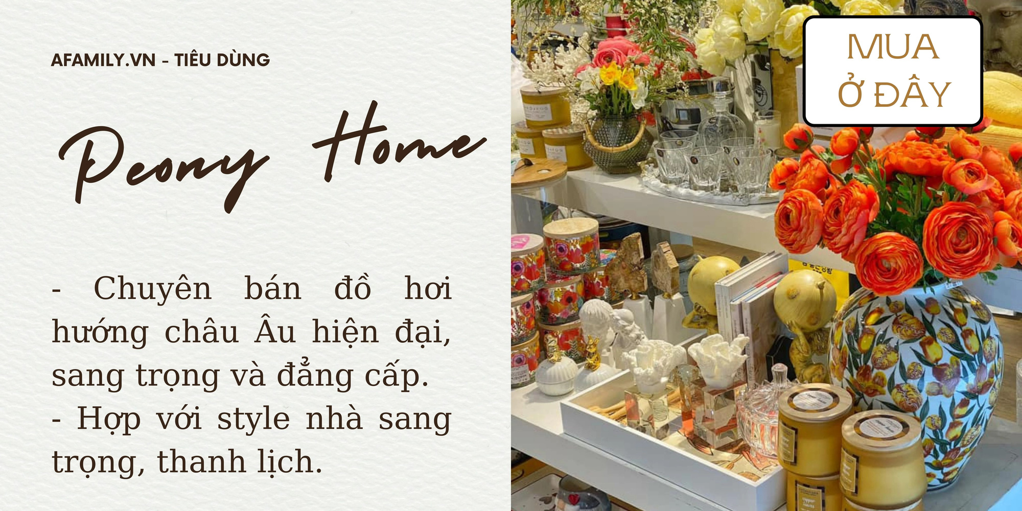 Hà Nội có 5 cửa hàng bán đồ trang trí nhà cửa giá rẻ “nhìn cái là ưng” không thể bỏ lỡ dịp sắm sửa cuối năm - Ảnh 9.
