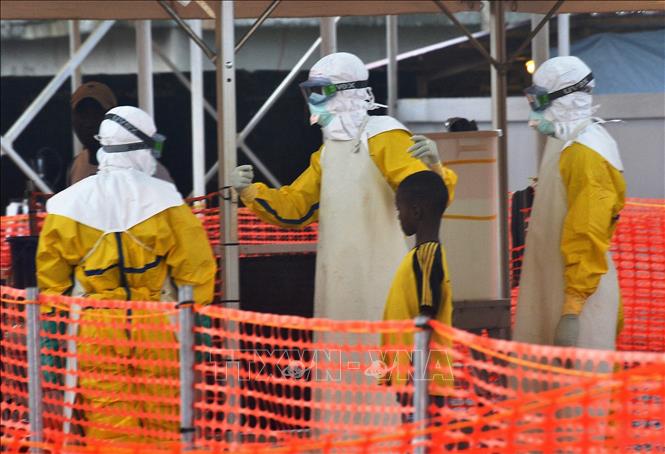 Dịch bệnh Ebola bùng phát tại Guinea - Ảnh 1.