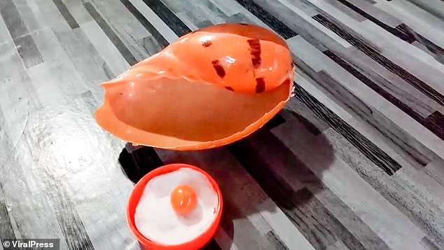 Cắn trúng viên ngọc trai màu cam tiền tỉ khi đang ăn ốc luộc - Ảnh 3.