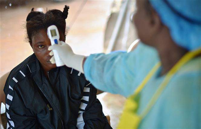 WHO cảnh báo 6 nước châu Phi về dịch Ebola - Ảnh 1.
