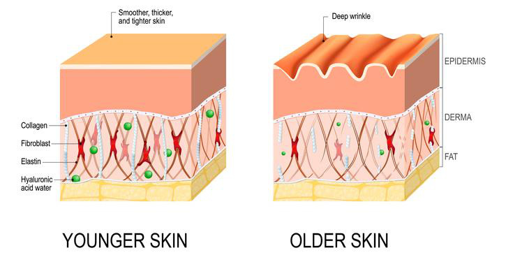 90s Wrinkle Removal Treatment Serum - Bảo bối xóa nhăn thế hệ mới đến từ Hàn Quốc - Ảnh 2.