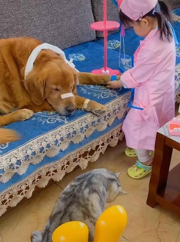 Con gái đóng vai bác sĩ, nhìn vẻ mặt “cam chịu số phận” của các bệnh nhân mà người xem cười “rụng răng” - Ảnh 1. Con gái đóng vai bác sĩ, nhìn vẻ mặt “cam chịu số phận” của các bệnh nhân mà người xem cười “rụng răng” - Ảnh 1.