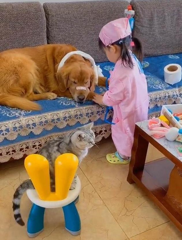 Con gái đóng vai bác sĩ, nhìn vẻ mặt “cam chịu số phận” của các bệnh nhân mà người xem cười “rụng răng” - Ảnh 2. Con gái đóng vai bác sĩ, nhìn vẻ mặt “cam chịu số phận” của các bệnh nhân mà người xem cười “rụng răng” - Ảnh 2.