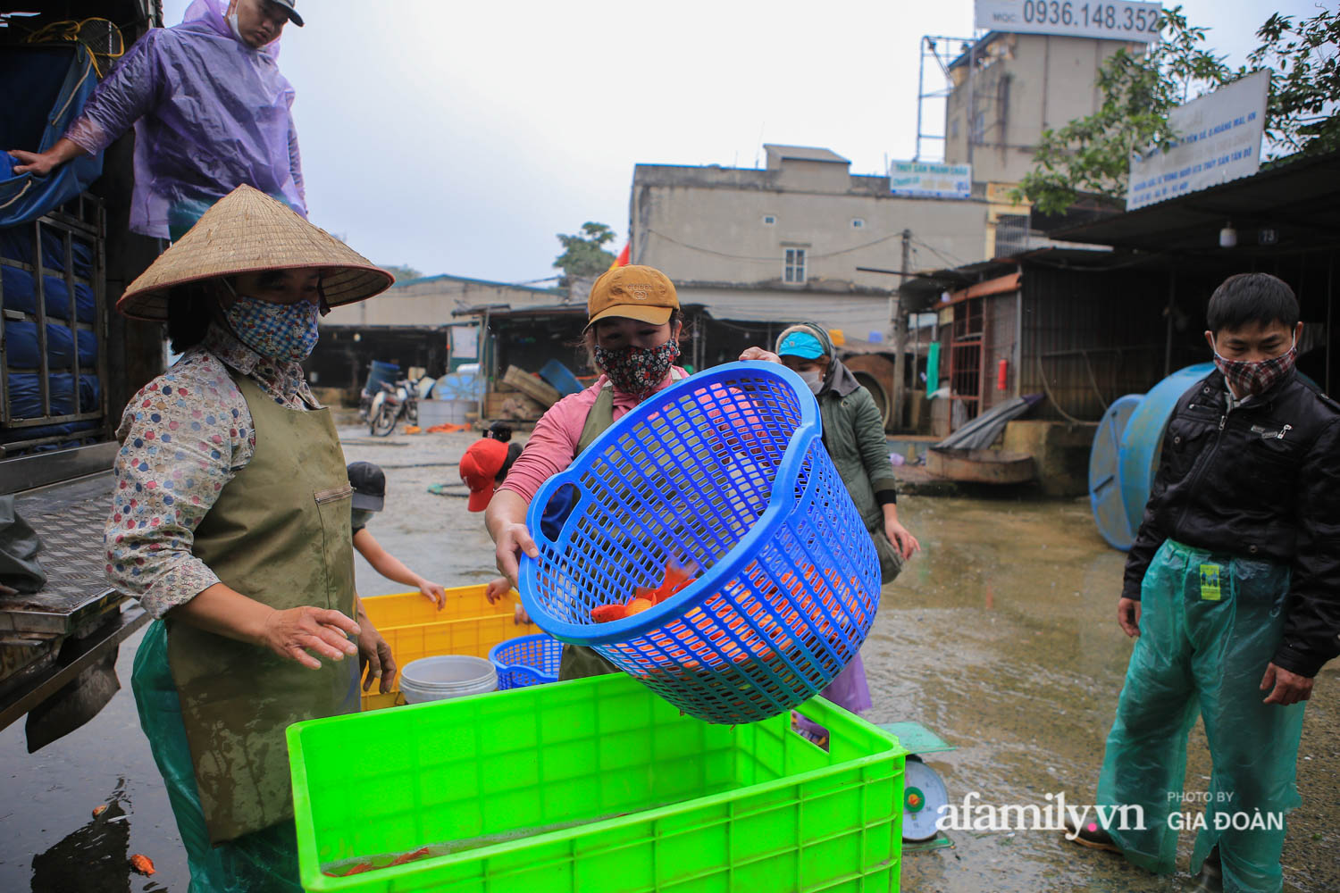 Chợ cá lớn nhất Hà Nội nhộn nhịp trước ngày ông Công, ông Táo - Ảnh 4.