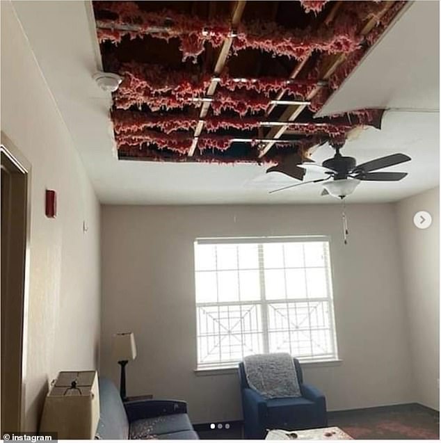 Sau khi chính thức rời khỏi hoàng gia, nhà Sussex có động thái mới bất ngờ ở Mỹ và đưa lời đề nghị khiến Nữ hoàng khó xử - Ảnh 2. Sau khi chính thức rời khỏi hoàng gia, nhà Sussex có động thái mới bất ngờ ở Mỹ và đưa lời đề nghị khiến Nữ hoàng khó xử - Ảnh 2.