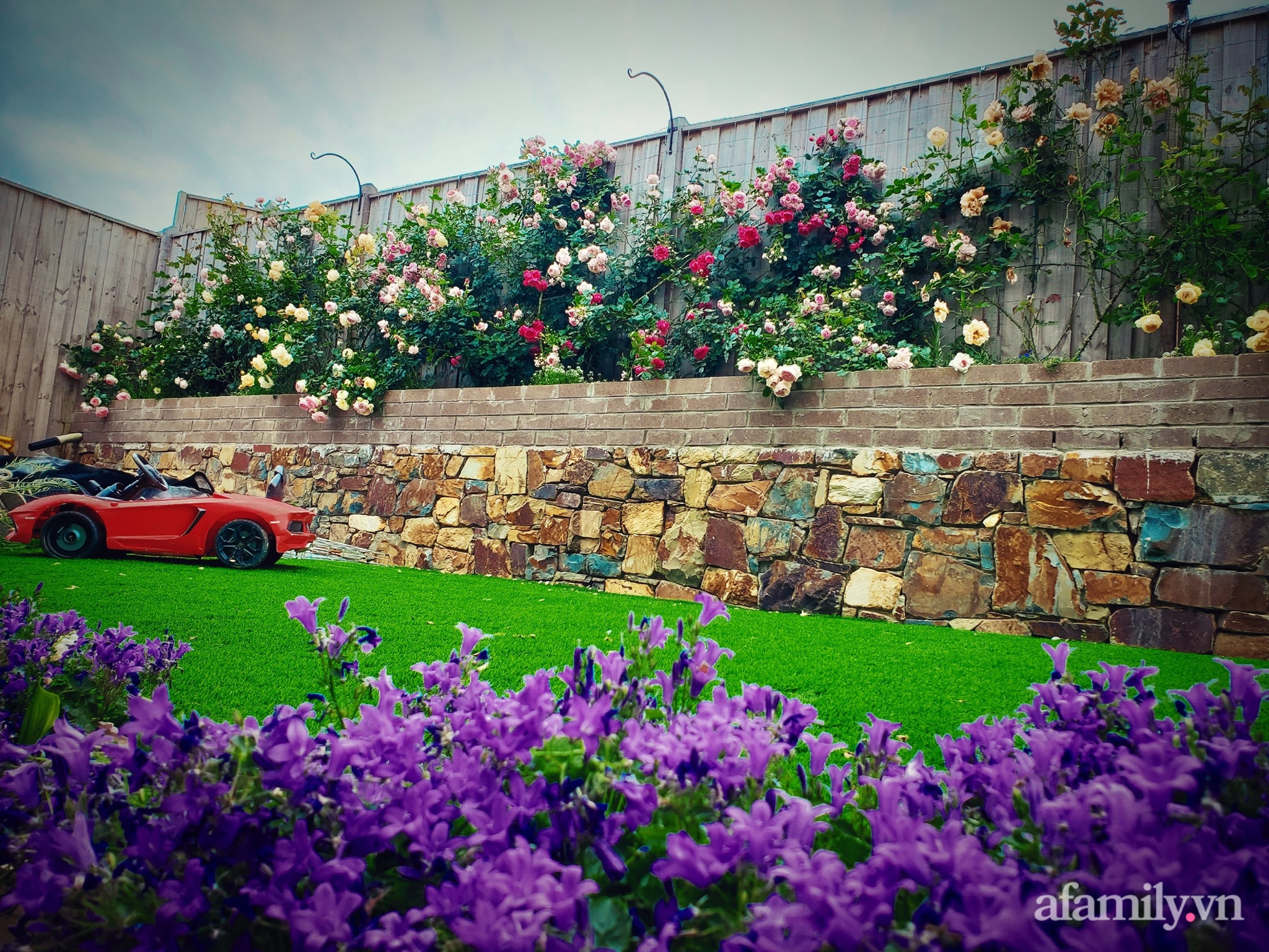 Vườn hồng 250m² ngát hương rực rỡ sắc màu đẹp như cổ tích của mẹ Việt ở Úc - Ảnh 12.