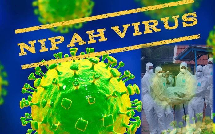 Virus Nipah gây phù não được cảnh báo có thể là đại dịch tiếp theo: Chưa có vắc-xin phòng bệnh và có thể ủ bệnh hơn 1 tháng mà không biết 