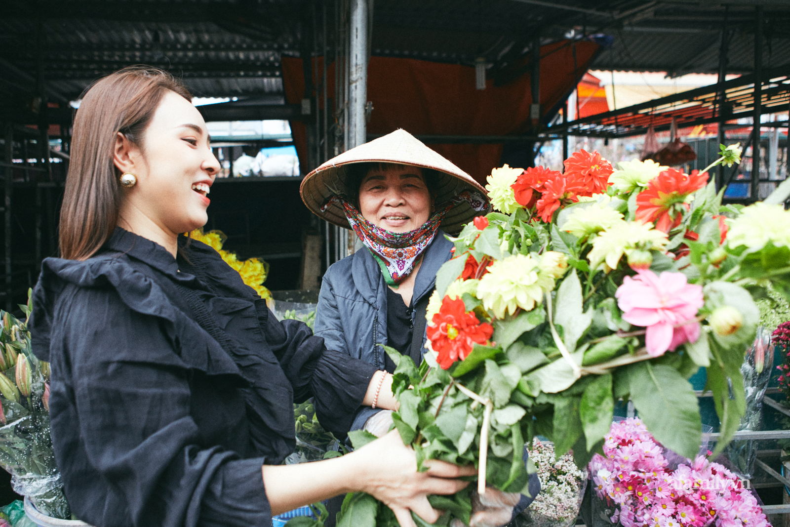 Theo chân Bảo Trâm idol chọn hoa Tết, bậc cao niên của làng hoa nổi tiếng nhất Hà Nội tiết lộ loại hoa &quot;cấm kỵ&quot; mà rất nhiều nhà đặt lên bàn thờ - Ảnh 4.