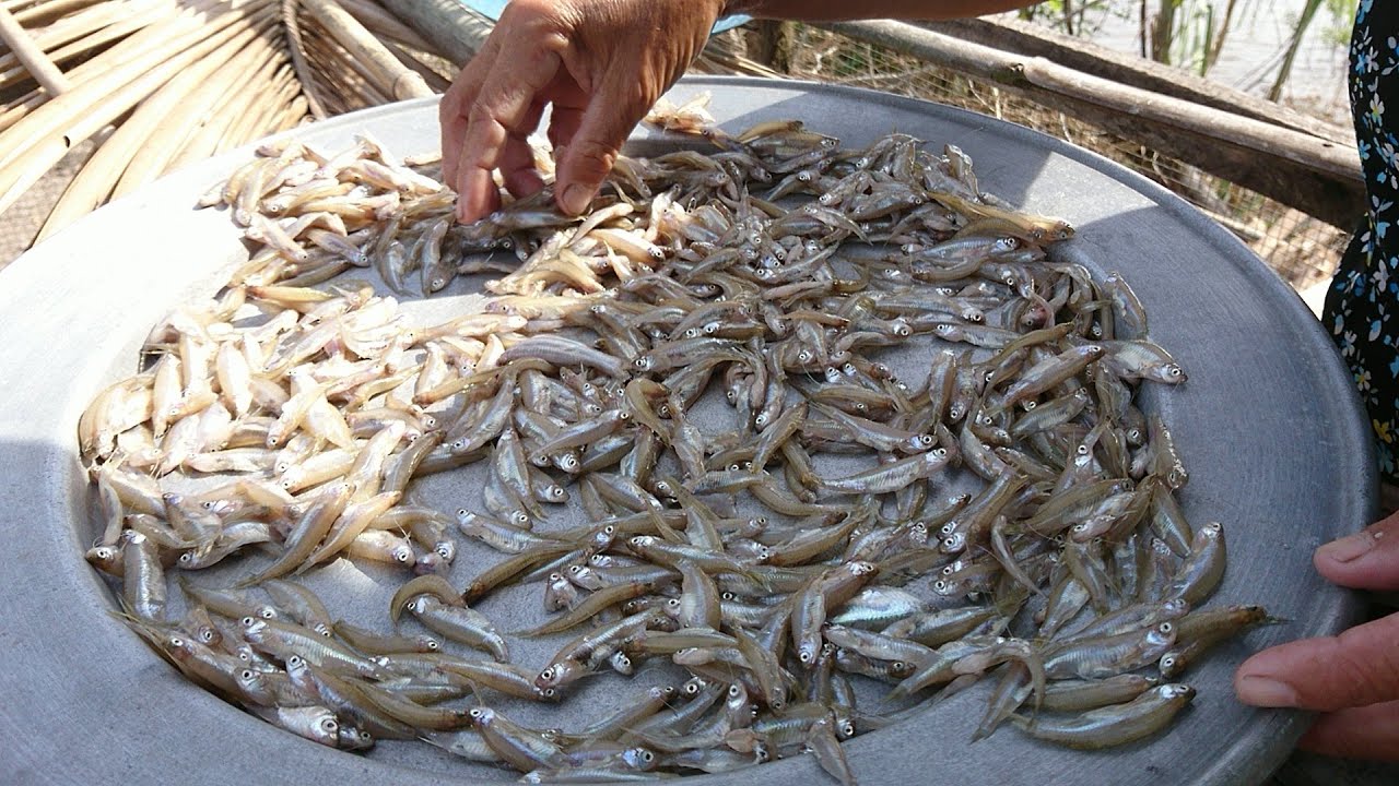 9 đặc sản đồ khô nổi tiếng miền Tây ngon khó cưỡng - Ảnh 10. 9 đặc sản đồ khô nổi tiếng miền Tây ngon khó cưỡng - Ảnh 10.