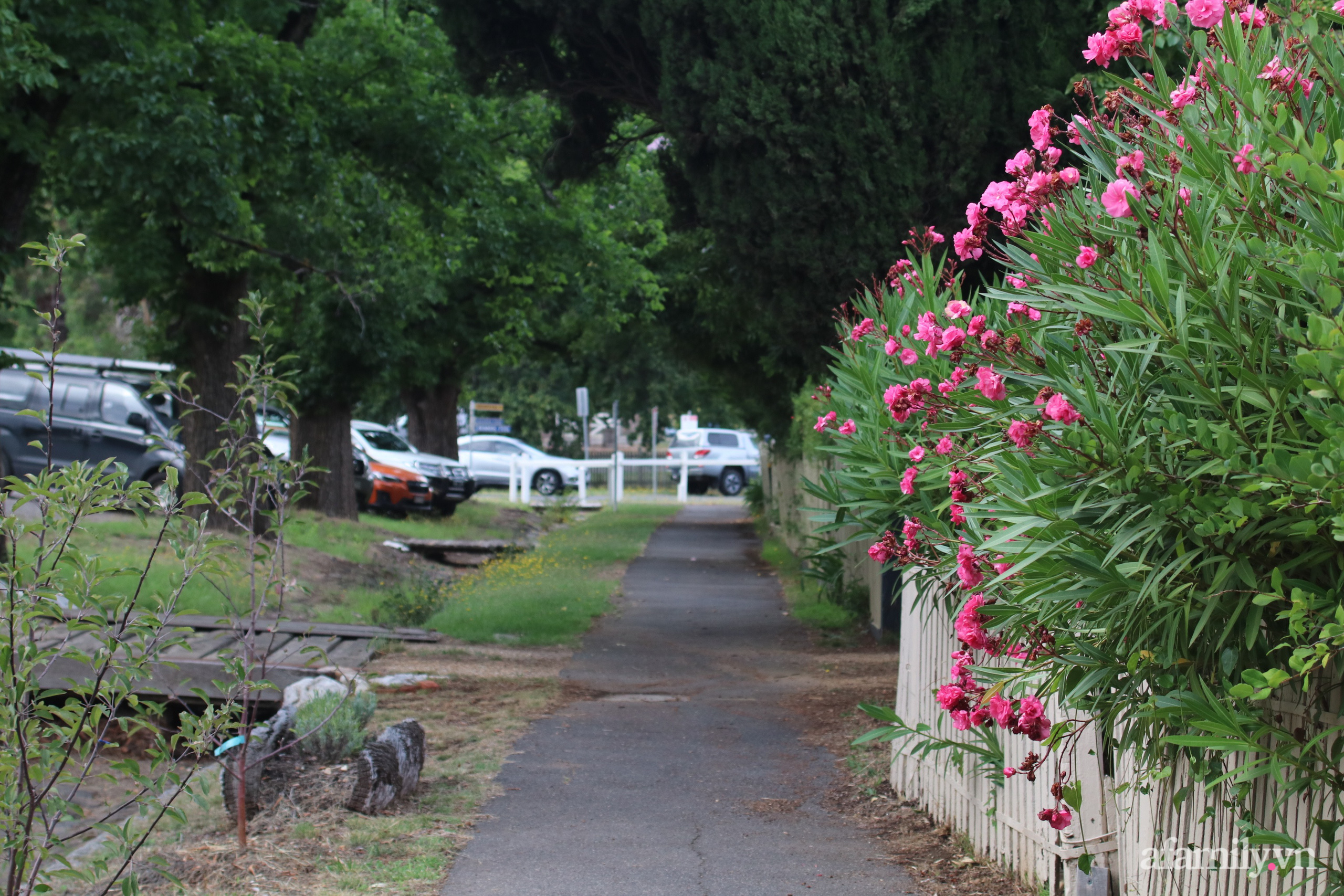 Căn nhà cổ xây cách đây 160 năm đẹp bình yên giữa vườn cây xanh mát ở Úc - Ảnh 2.