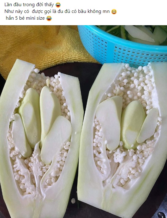 Quả đu đủ "mang bầu" 5 trái mini bên trong khiến dân mạng bất ngờ, nhiều người đùa hay là có mộng giống quả dừa!? - Ảnh 1. Quả đu đủ "mang bầu" 5 trái mini bên trong khiến dân mạng bất ngờ, nhiều người đùa hay là có mộng giống quả dừa!? - Ảnh 1.
