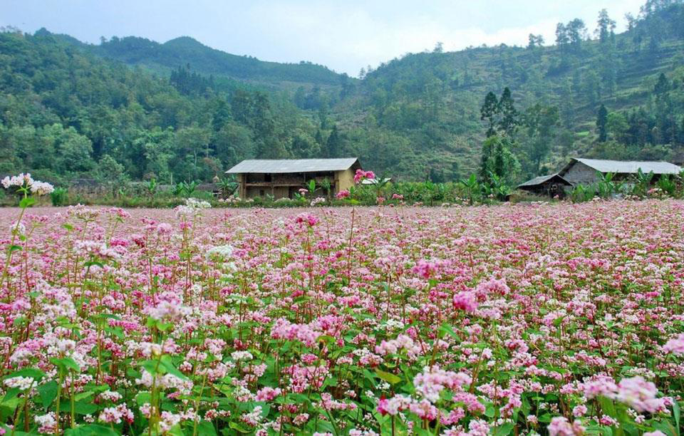 Du lịch cùng 123 Travel để biết Việt Nam mình là tuyệt vời nhất! - Ảnh 5. Du lịch cùng 123 Travel để biết Việt Nam mình là tuyệt vời nhất! - Ảnh 5.