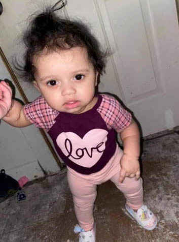 - Ảnh 2.  - Ảnh 2.