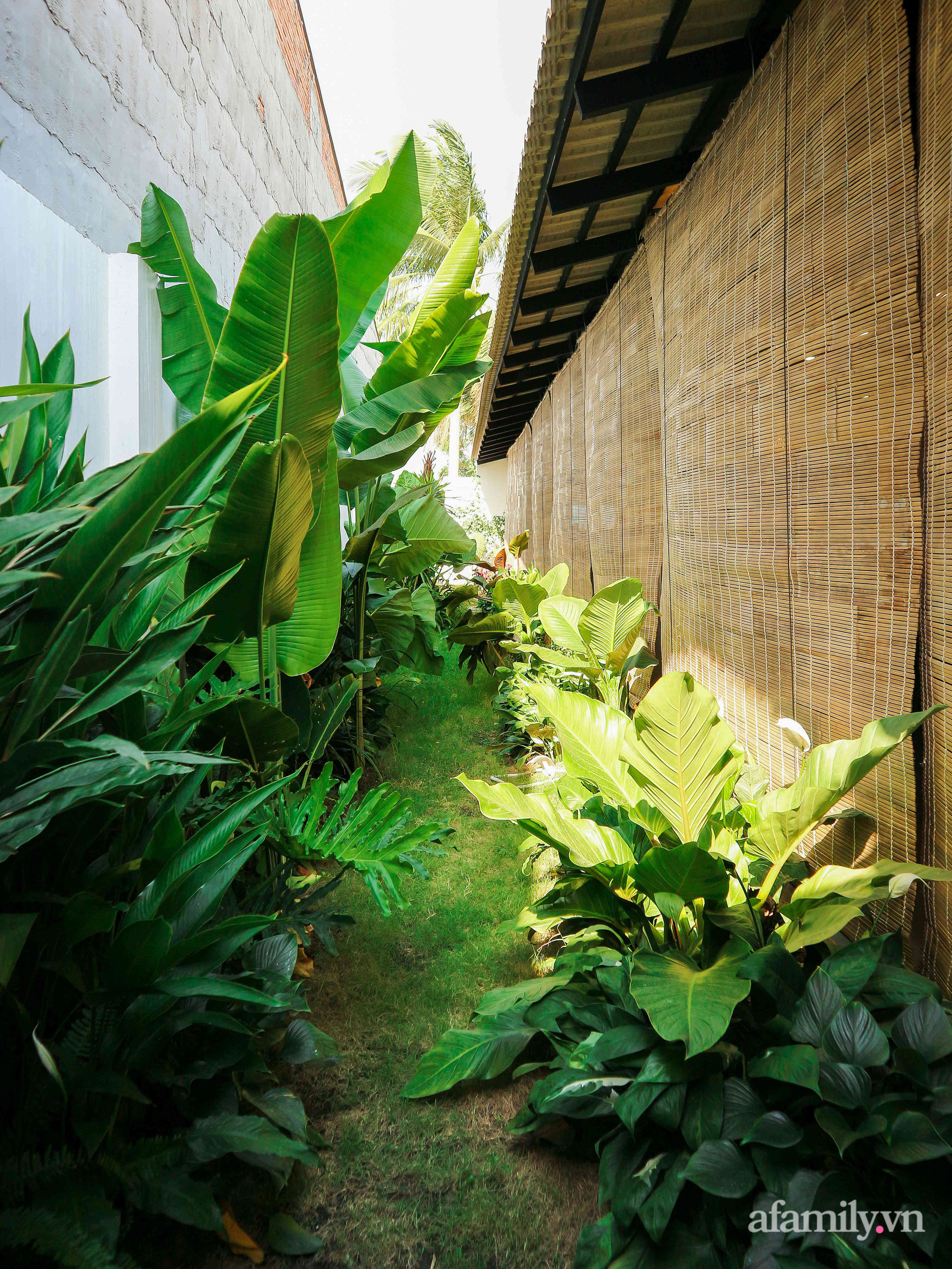 Nhà ngoại ô mát mẻ quanh năm nhờ khu vườn nhiệt đới cùng thiết kế mở của nữ nhiếp ảnh gia dành tặng ba mẹ ở Tây Ninh - Ảnh 15.