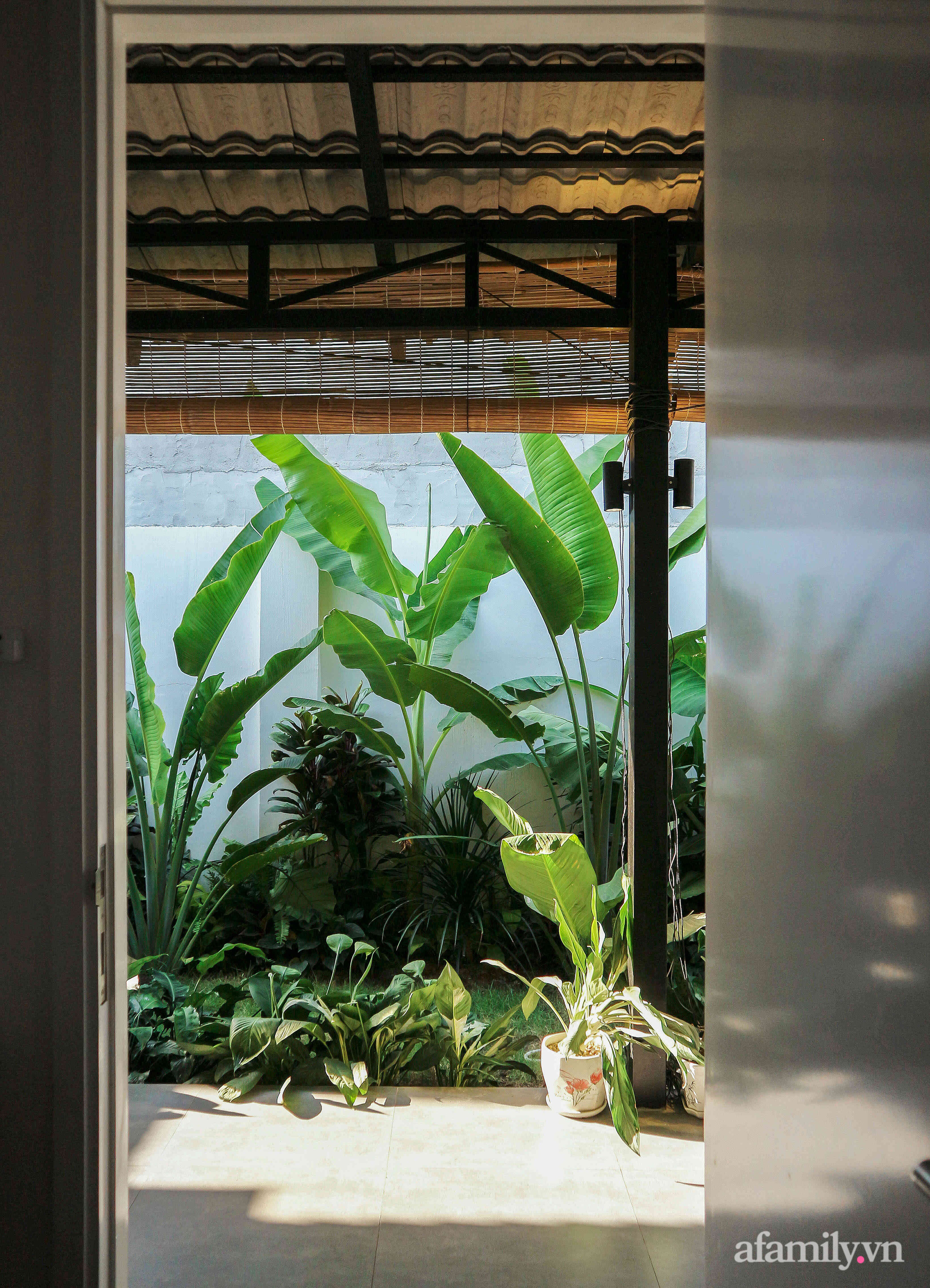 Nhà ngoại ô mát mẻ quanh năm nhờ khu vườn nhiệt đới cùng thiết kế mở của nữ nhiếp ảnh gia dành tặng ba mẹ ở Tây Ninh - Ảnh 18.
