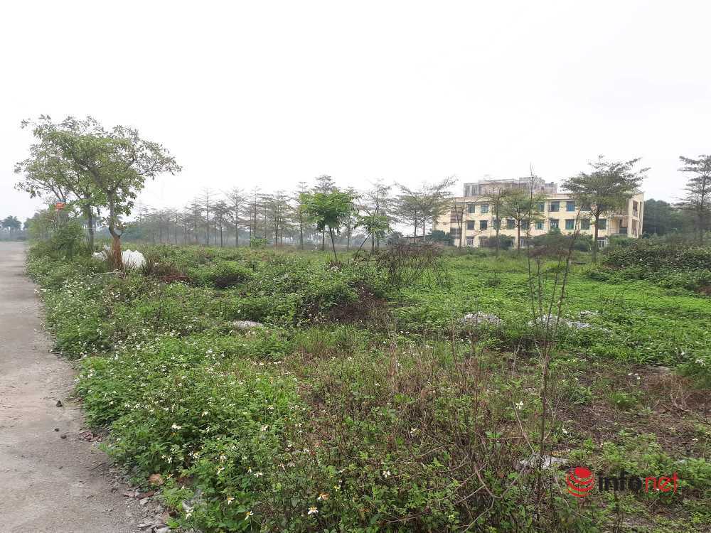 Hàng loạt dự án nhà ở, biệt thự vườn ở Hà Nội bị Sở TNMT kiến nghị thu hồi - Ảnh 1.