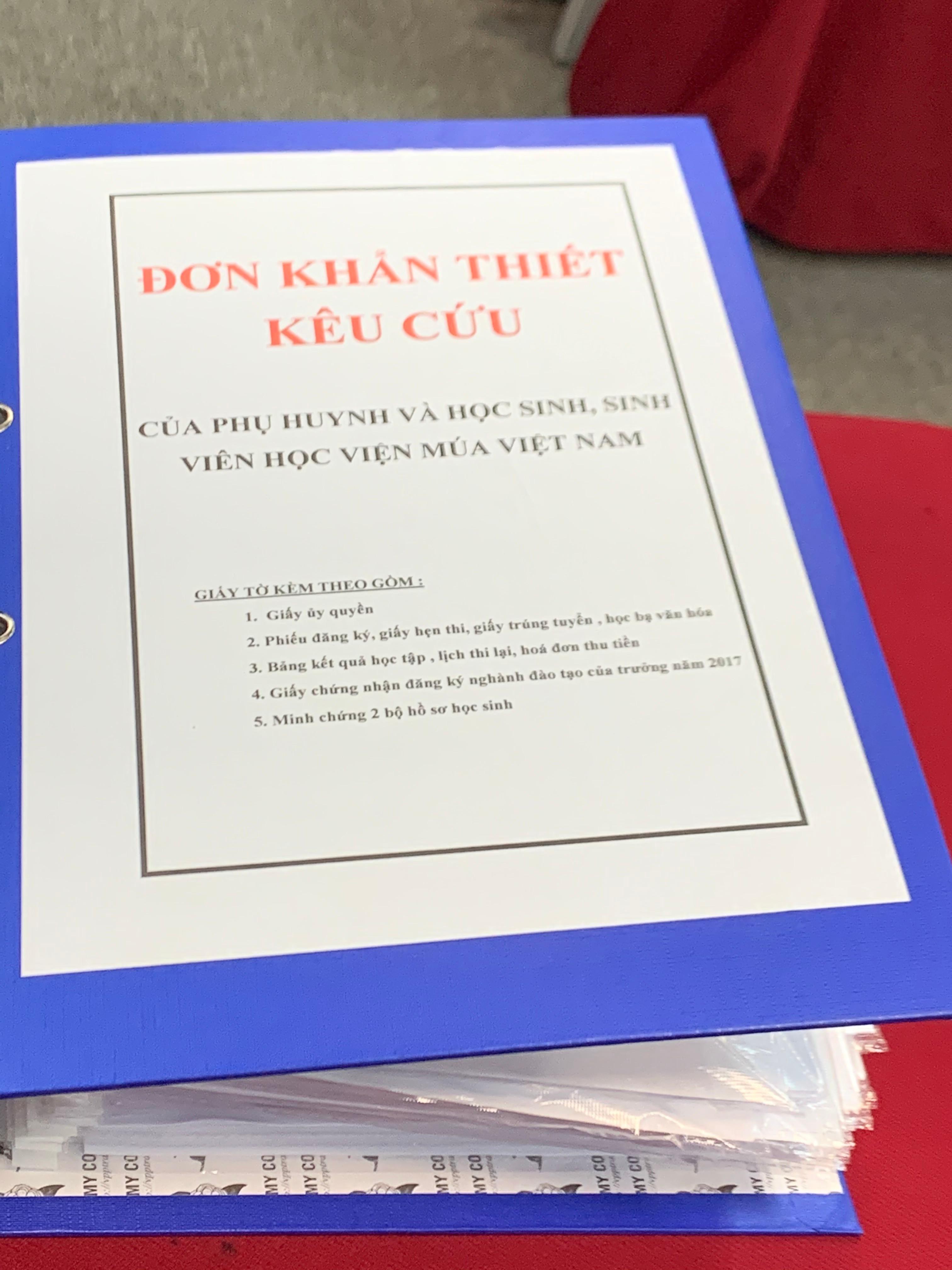 Hàng trăm học sinh Học viện Múa Việt Nam 'chết đứng' khi ra trường tay trắng - Ảnh 1.