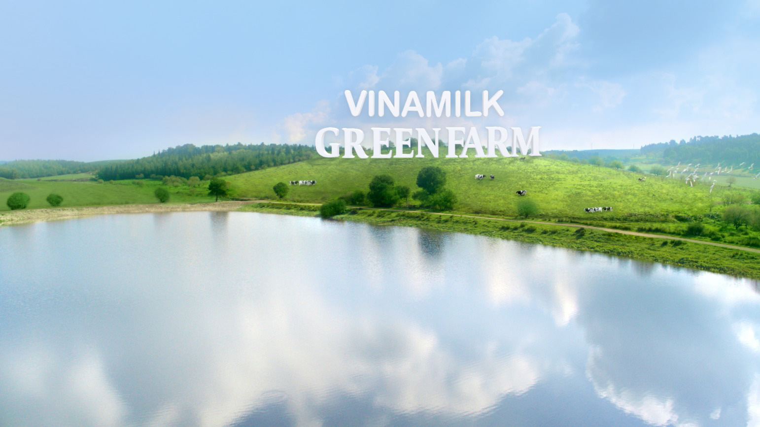 “Tất tần tật” về chế độ chăm sóc đàn bò sữa nhập khẩu tại trang trại Green Farm của Vinamilk - Ảnh 9.