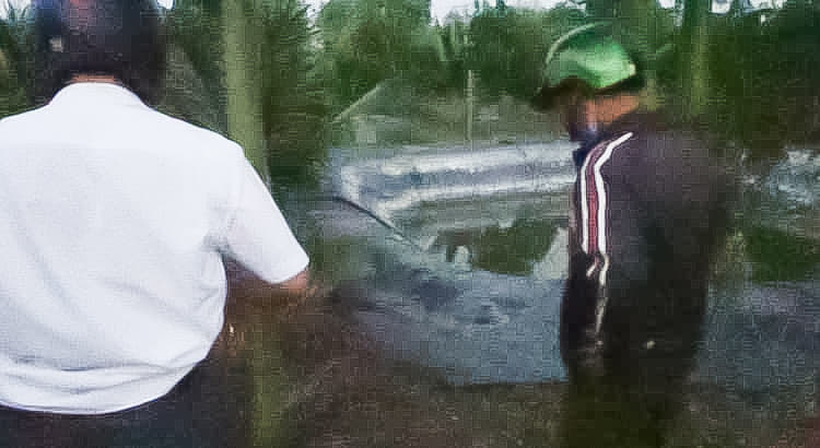 3 cháu nhỏ chết thương tâm dưới ao nước tưới cây ở Đồng Nai - Ảnh 1.