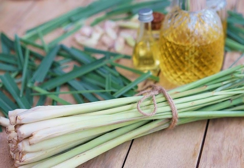 Tips to remove unpleasant smells in the bedroom with lemongrass