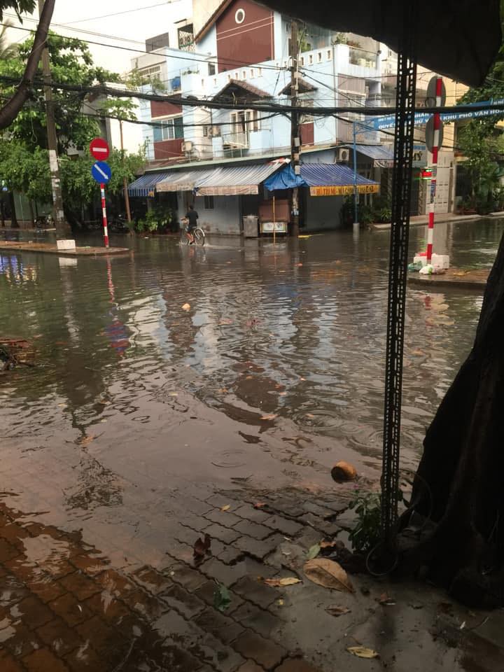Sài Gòn "phố cũng thành sông", cây xanh bật gốc la liệt chỉ sau 1 đêm - Ảnh 5. Sài Gòn "phố cũng thành sông", cây xanh bật gốc la liệt chỉ sau 1 đêm - Ảnh 5.