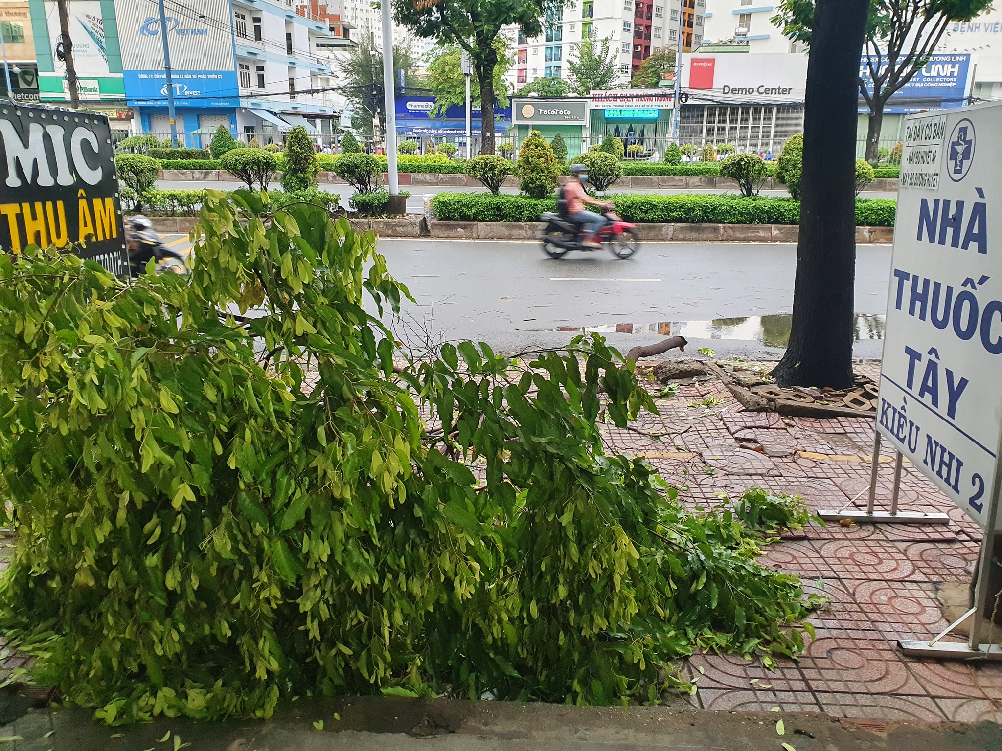 Sài Gòn "phố cũng thành sông", cây xanh bật gốc la liệt chỉ sau 1 đêm - Ảnh 4. Sài Gòn "phố cũng thành sông", cây xanh bật gốc la liệt chỉ sau 1 đêm - Ảnh 4.