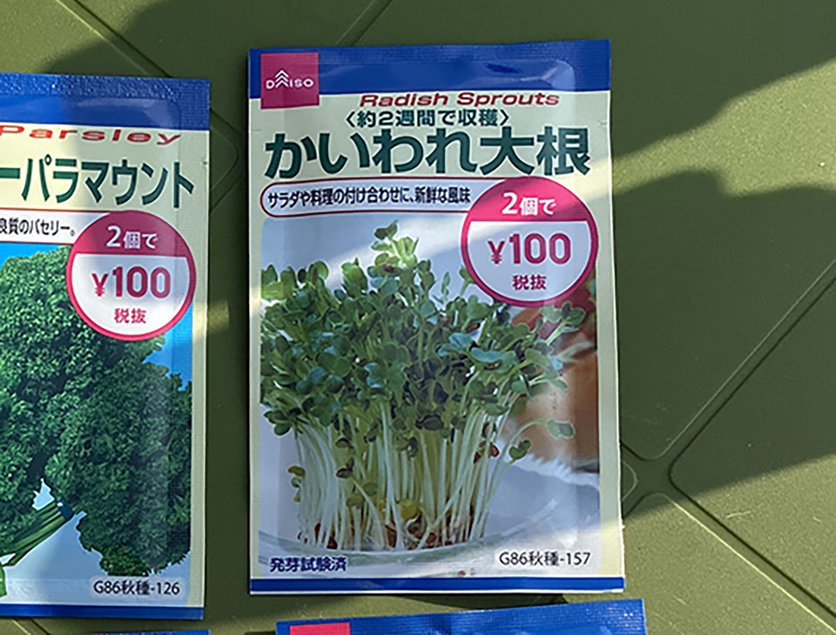 Mua thử combo 2 gói hạt giống củ cải tại Daiso của Nhật với giá chỉ 21K, thử trồng tại nhà và kết quả nhận được - Ảnh 1.
