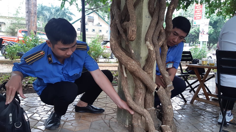 CLIP: X&oacute;t xa gi&agrave;n hoa giấy tuyệt đẹp trong hoa vi&ecirc;n bị cưa hạ - Ảnh 8.