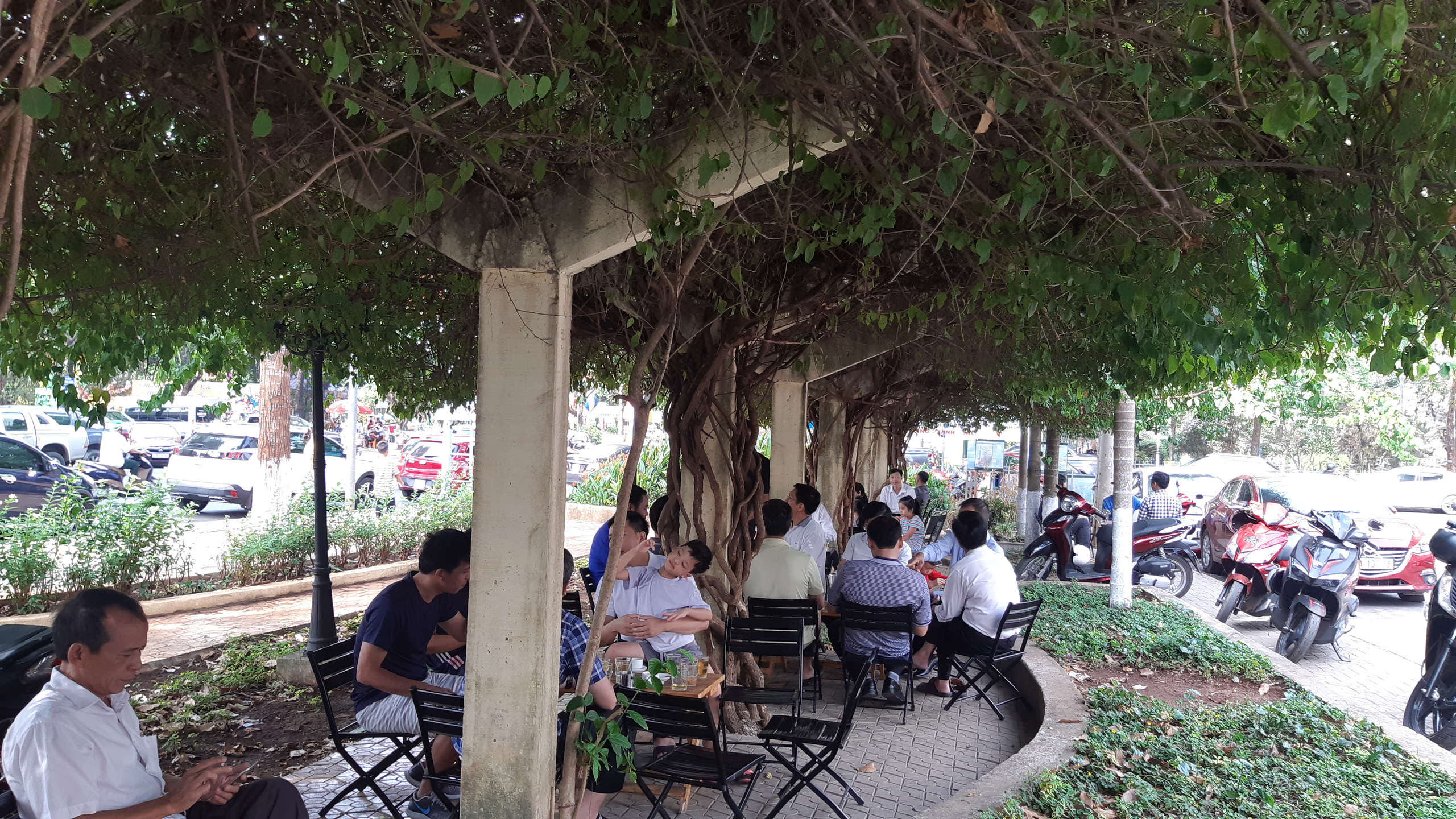 CLIP: X&oacute;t xa gi&agrave;n hoa giấy tuyệt đẹp trong hoa vi&ecirc;n bị cưa hạ - Ảnh 7.