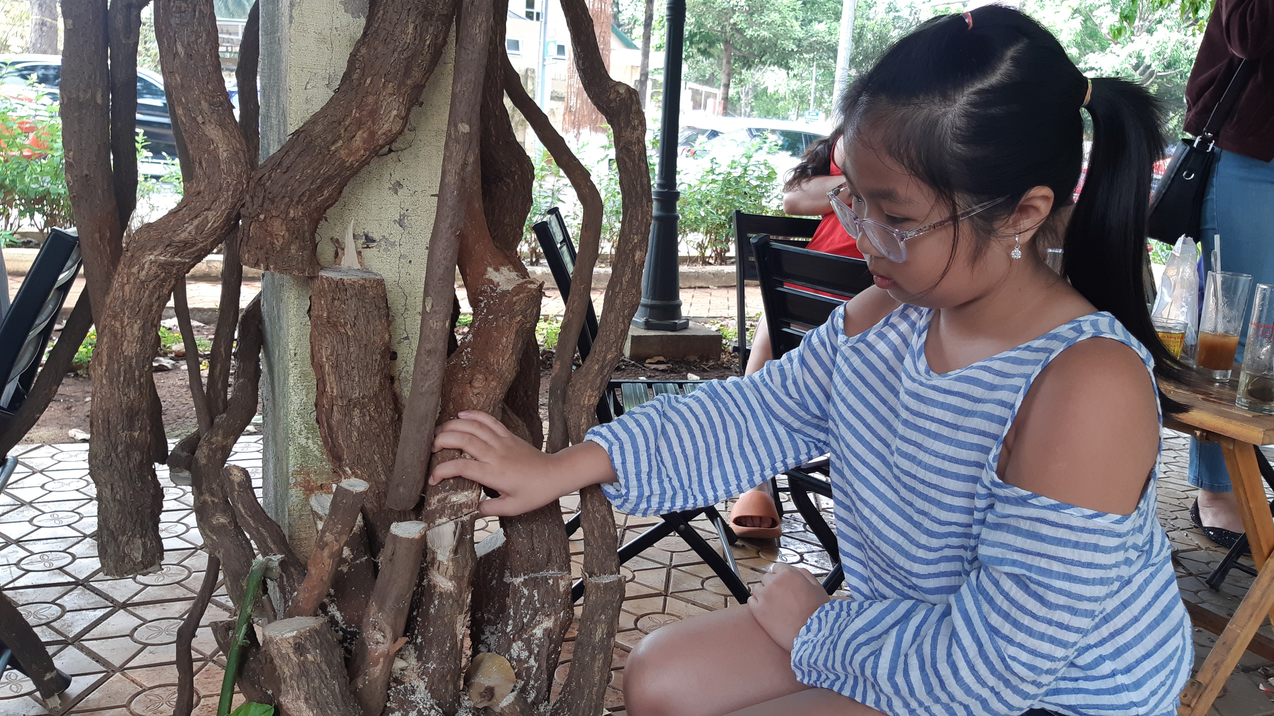 CLIP: X&oacute;t xa gi&agrave;n hoa giấy tuyệt đẹp trong hoa vi&ecirc;n bị cưa hạ - Ảnh 1.