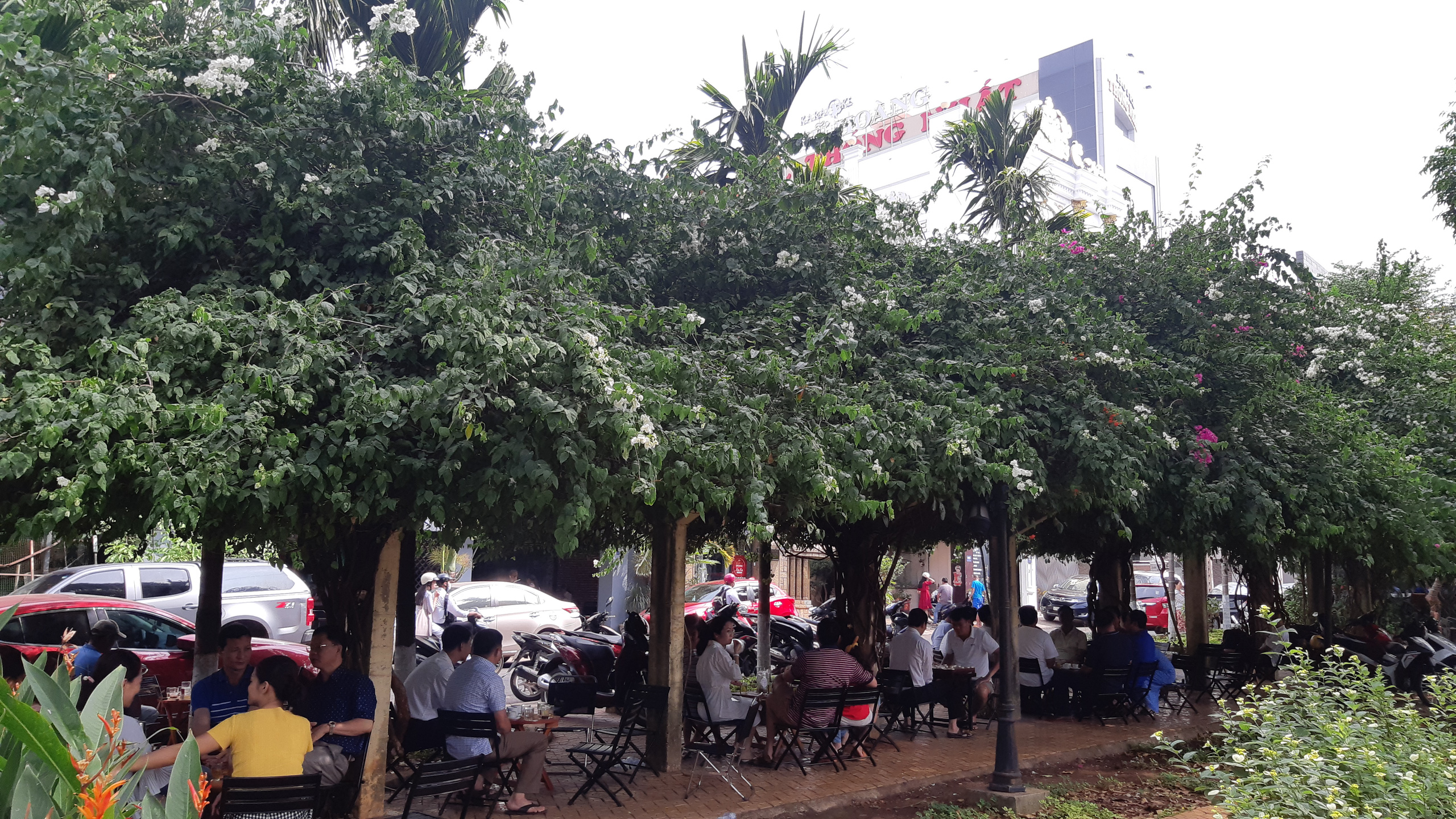 CLIP: X&oacute;t xa gi&agrave;n hoa giấy tuyệt đẹp trong hoa vi&ecirc;n bị cưa hạ - Ảnh 3.