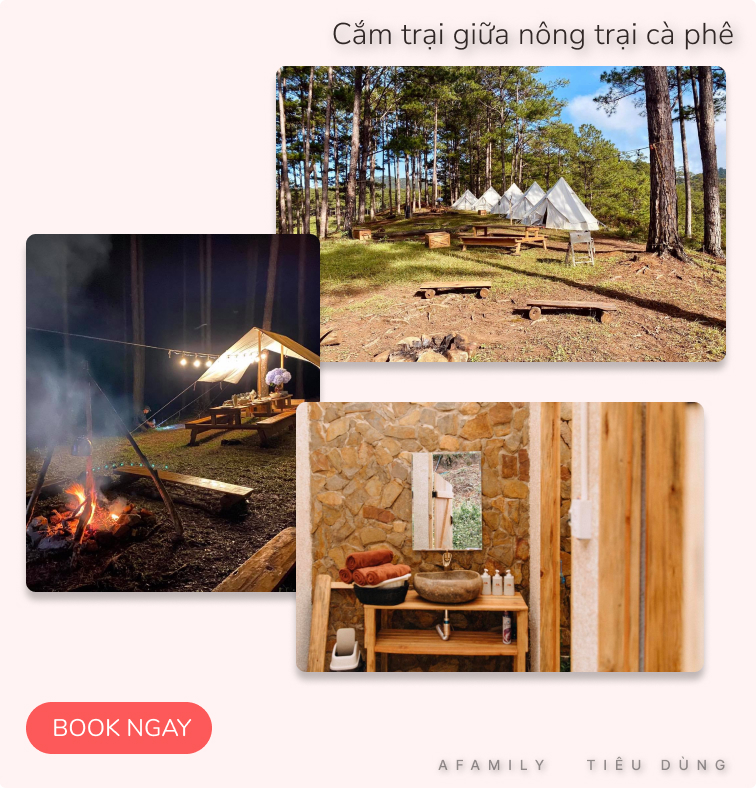 Đang &quot;du hí&quot; ở Đà Lạt, tham khảo ngay tour trải nghiệm cắm trại Glamping sang chảnh đang hot rần rần giá chỉ từ 400K - Ảnh 5.