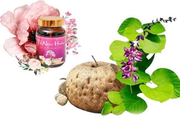 Chăm da đẹp, giữ dáng xinh tại nhà bằng sâm tố nữ - Ảnh 1. Chăm da đẹp, giữ dáng xinh tại nhà bằng sâm tố nữ - Ảnh 1.